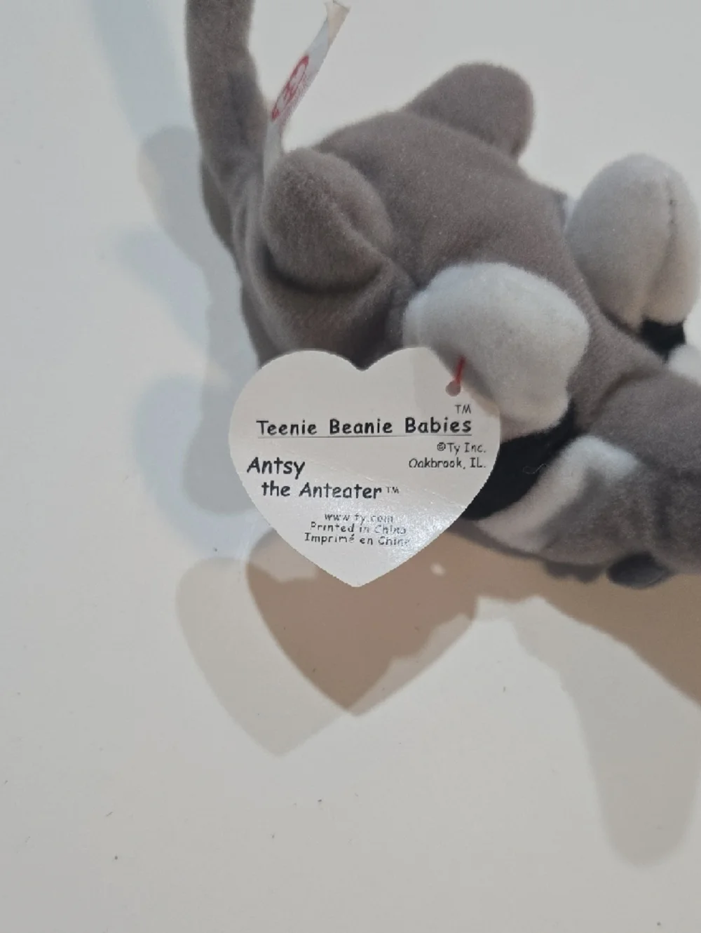 Ty antry anteater